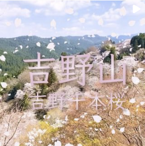 動画編集